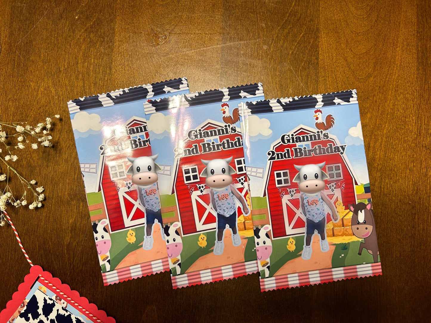 Personalized Chip Bags Party Favor Any Theme