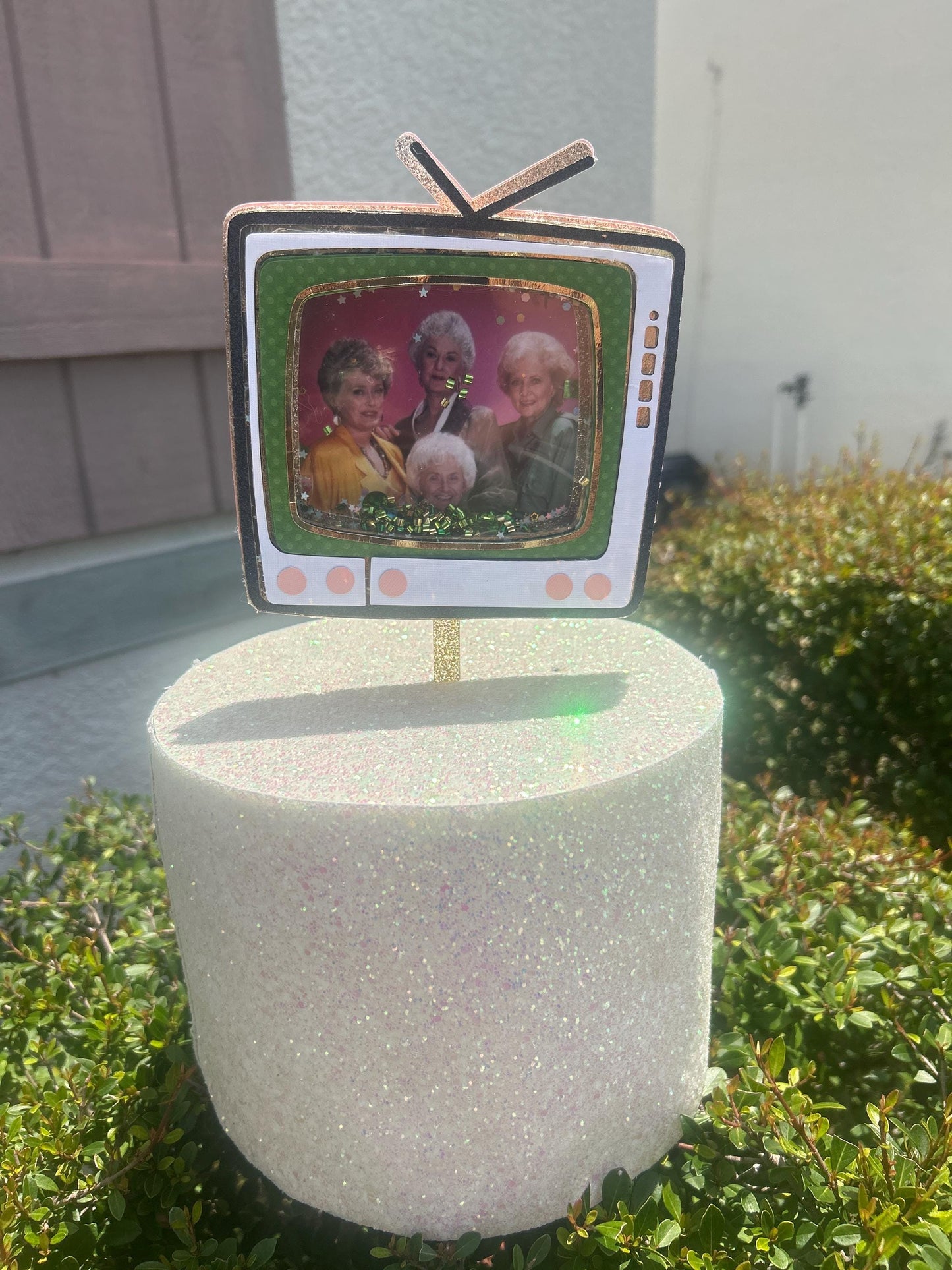 Golden Girls  Birthday Cake Topper – Retro TV Shaker & Purse Design